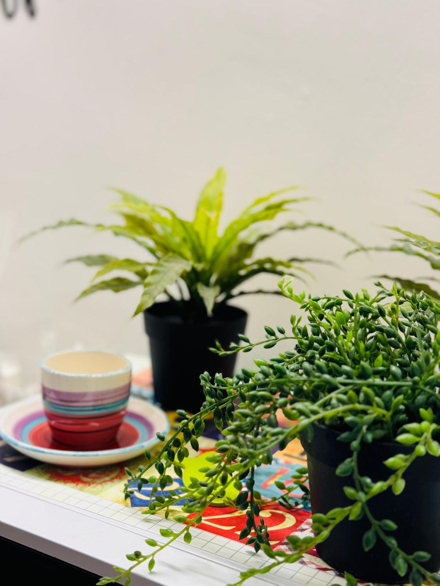 La Cornice Apartment 罗马 外观 照片